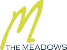 The Meadows - Shopping Center